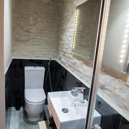 Homely Jinetes Loft Apartment